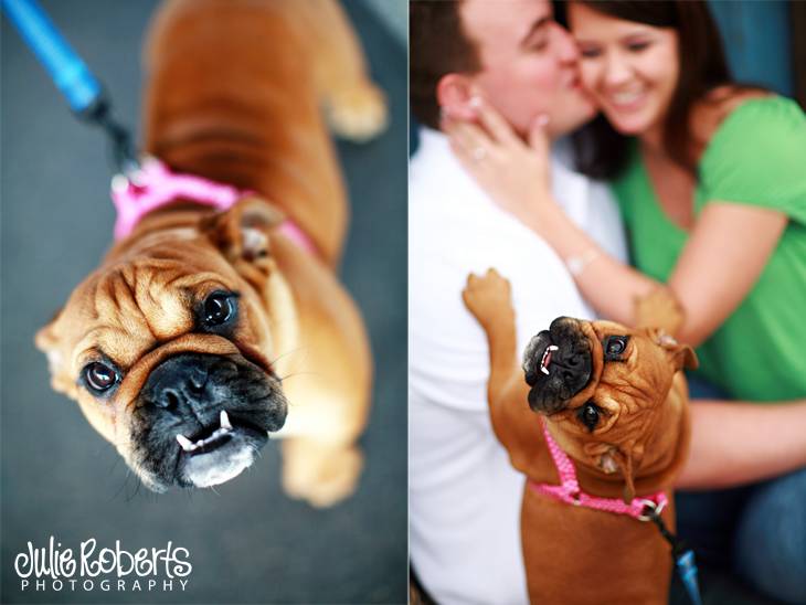 Laura, Justin, and Sophie!, Julie Roberts Photography