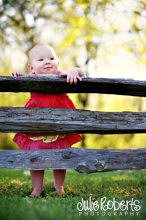 The Carroll Family, Julie Roberts Photography