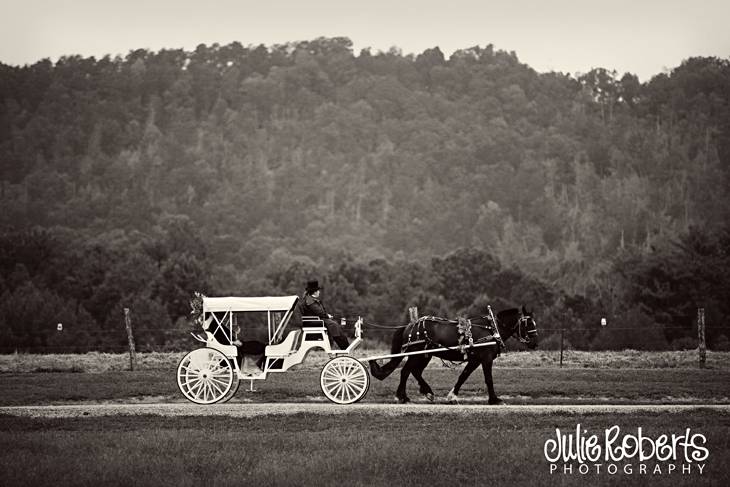 Brandon and Ashley Kittrell!  MARRIED!, Julie Roberts Photography