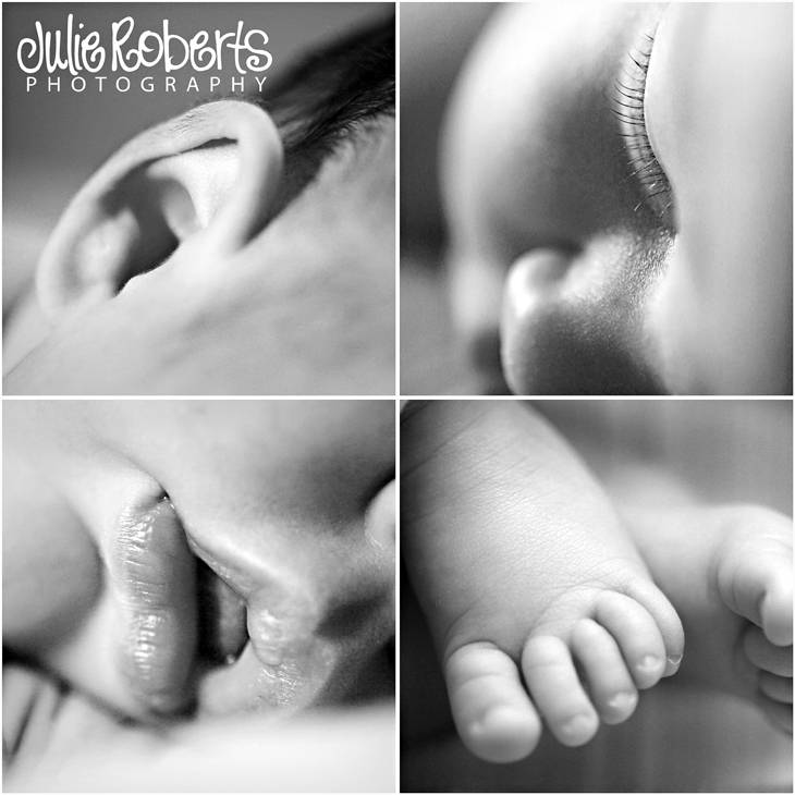 The Horton Family - Family and Newborn Photography - East Tennessee, Julie Roberts Photography