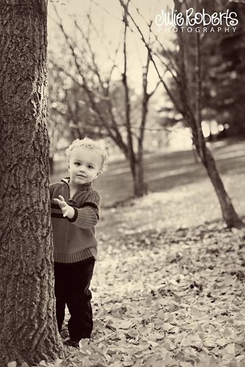 The Ferree Family Plus Two!, Julie Roberts Photography