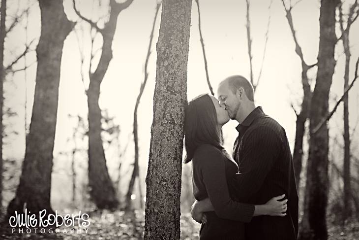 Dawn & Brent are engaged!, Julie Roberts Photography