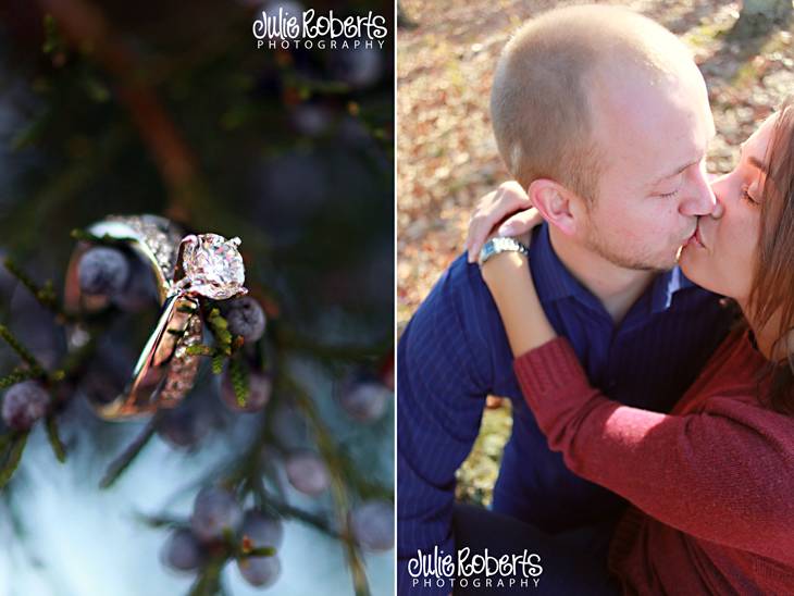 Dawn & Brent are engaged!, Julie Roberts Photography