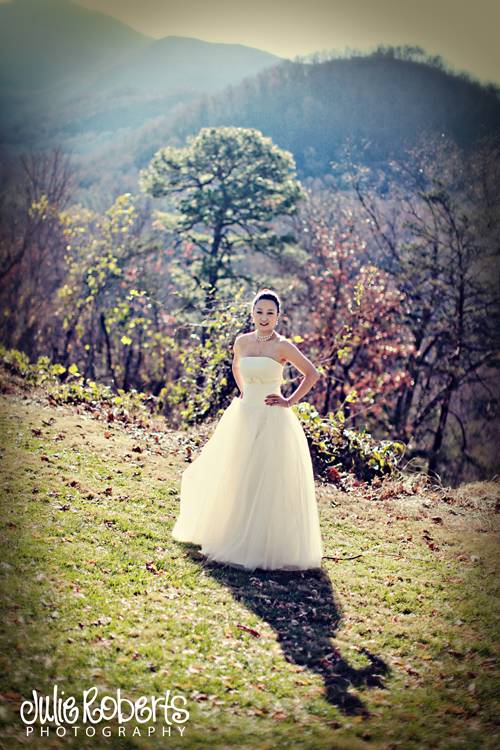 Robbie Underwood and Li Meng - Married! - Knoxville, Gatlinburg, Tennessee Wedding Photography, Julie Roberts Photography