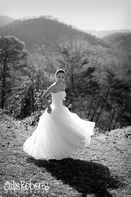 Robbie Underwood and Li Meng - Married! - Knoxville, Gatlinburg, Tennessee Wedding Photography, Julie Roberts Photography