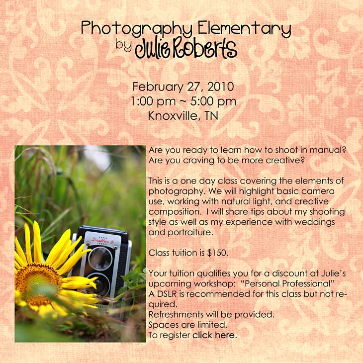 Announcing Photography Elementary, Julie Roberts Photography