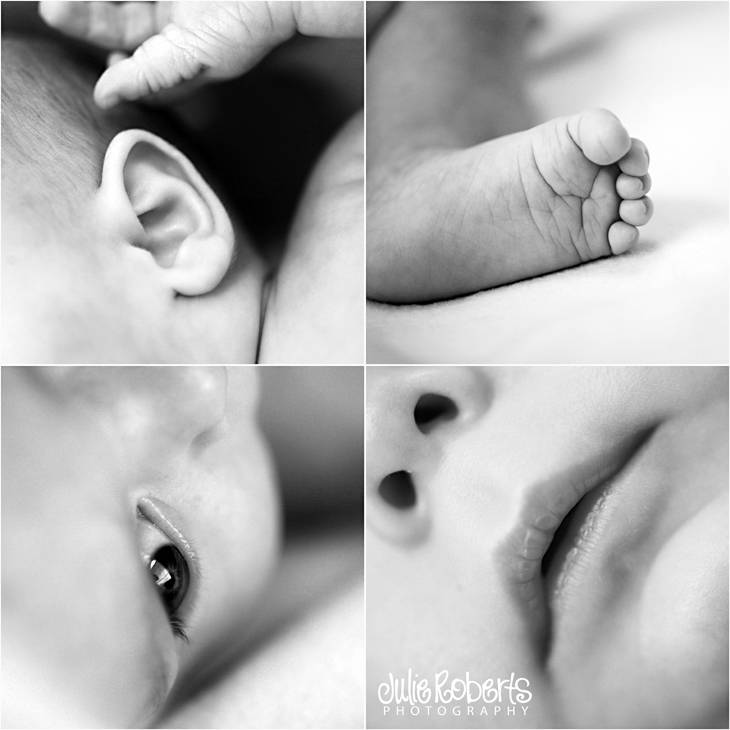 Baby Beau Brannon - Julie Roberts Photography - Knoxville, Dandridge, Tennessee Baby Photos, Julie Roberts Photography