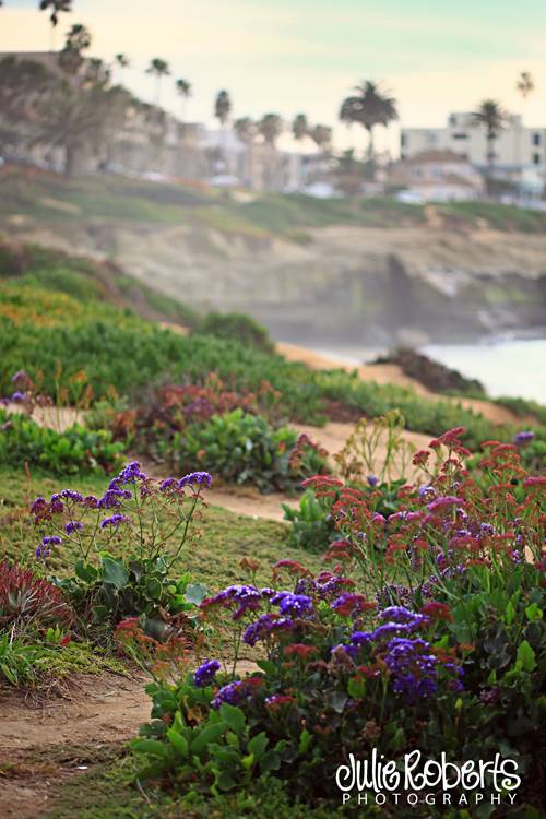 A day in San Diego with Julie, Julie Roberts Photography
