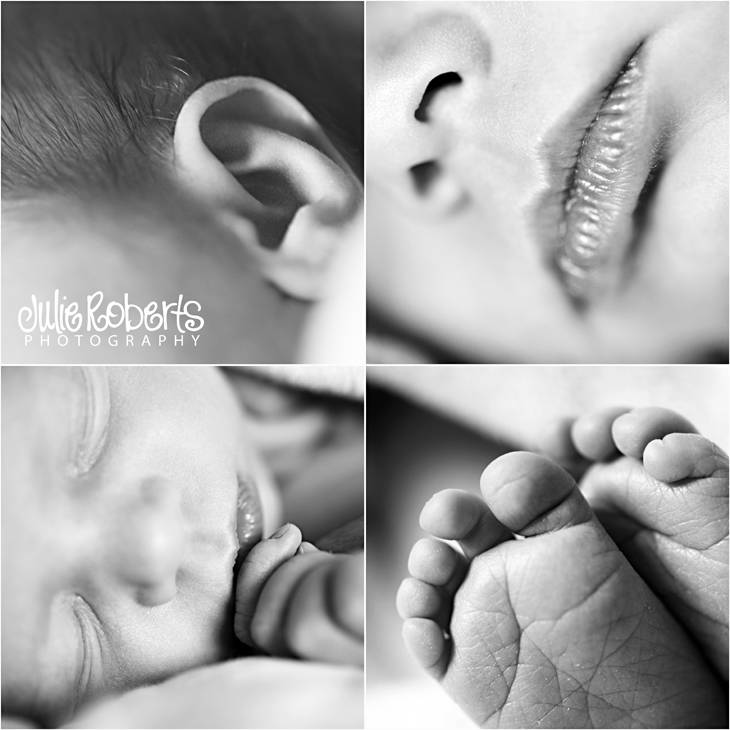 The Simonis Family - Knoxville, Tennessee - Newborn, Children, and Family Portraits, Julie Roberts Photography