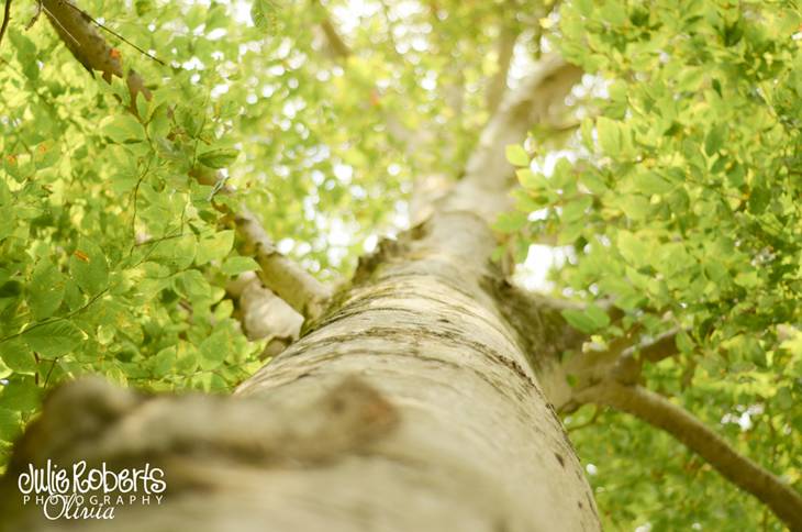 Genevieve Hanisek &amp; Seth Hagler :: Southern Back-yard Wedding :: Part ONE, Julie Roberts Photography