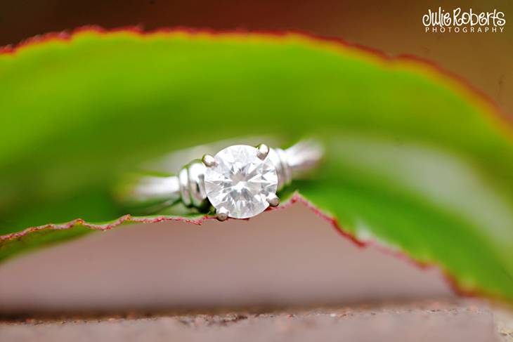 Sara and Robbie :: Engaged! :: Knoxville, Tennessee, Julie Roberts Photography