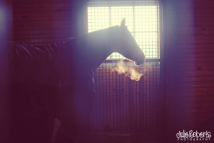 Cortney and James :: Engaged :: Lexington Photography, Julie Roberts Photography