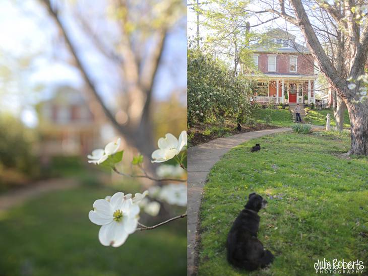 Our House :: Enjoying Elsmere Park in the Spring :: Lexington Kentucky, Julie Roberts Photography