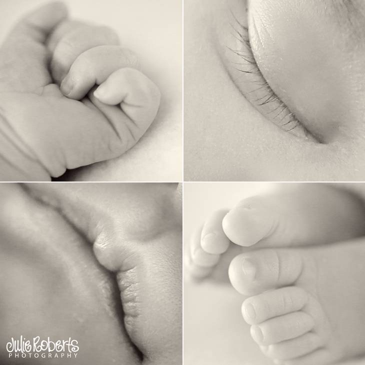 Vesper Ondine :: Three Weeks Old :: Lexington Newborn Photographer, Julie Roberts Photography