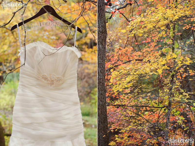 Erin and Tommy Morgan ... Married!  Cumberland Mountain State Park, Tennessee Wedding Phtoography, Julie Roberts Photography