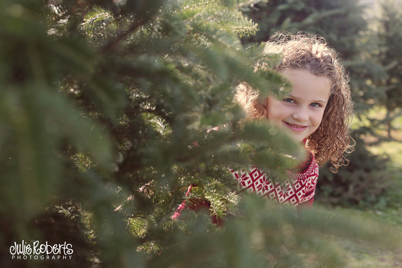 The holidays with baby Eleanor ... And Merry Christmas!, Julie Roberts Photography