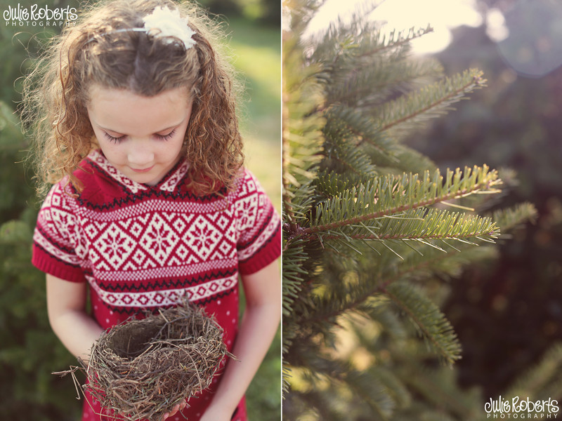 The holidays with baby Eleanor ... And Merry Christmas!, Julie Roberts Photography