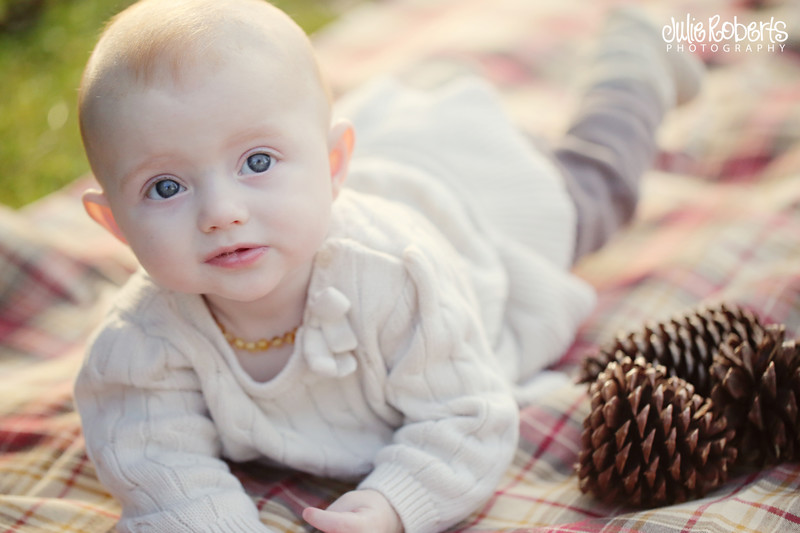 The holidays with baby Eleanor ... And Merry Christmas!, Julie Roberts Photography