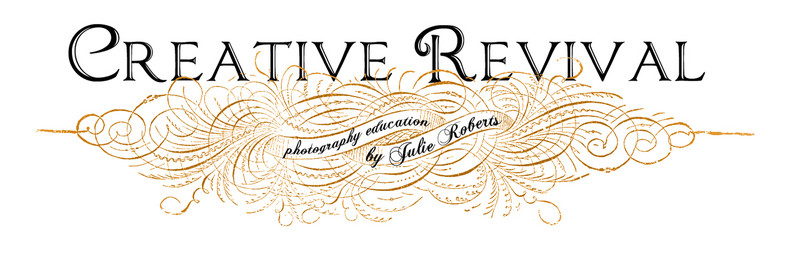 Officially Launching Creative Revival :: Photography Education :: Knoxville Workshops, Julie Roberts Photography