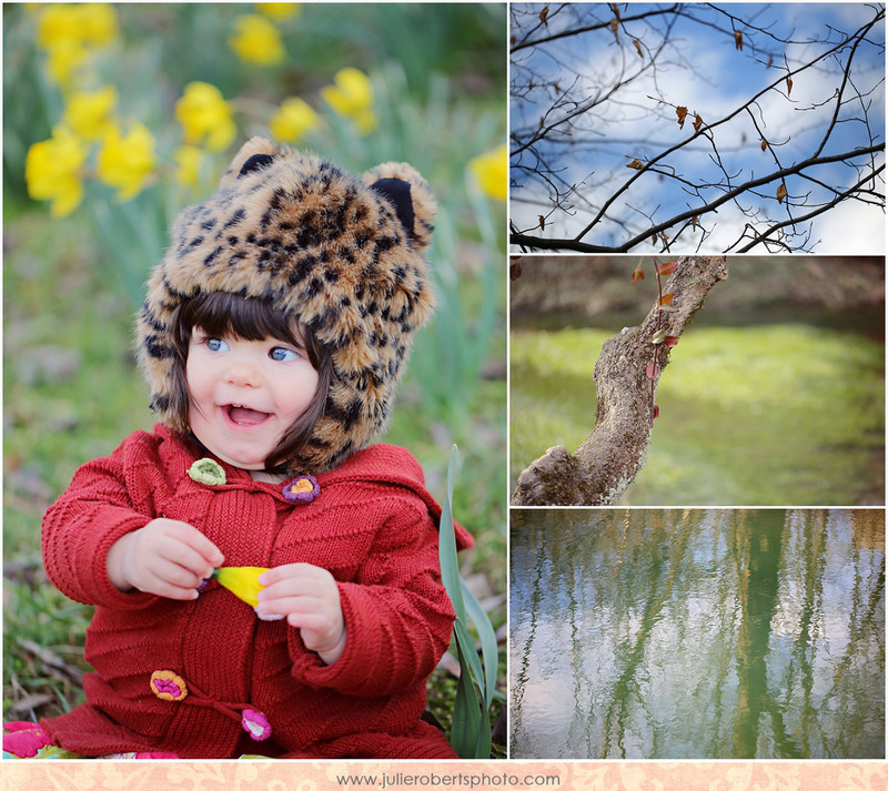 New Things!  A Newsletter, A New Way to Blog, a Give Away, and a Cute Baby!, Julie Roberts Photography