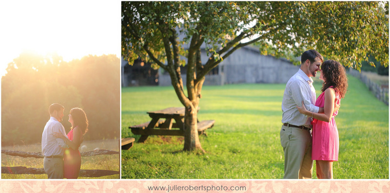 Lauren and Matt :: A post-wedding engagement session, Julie Roberts Photography