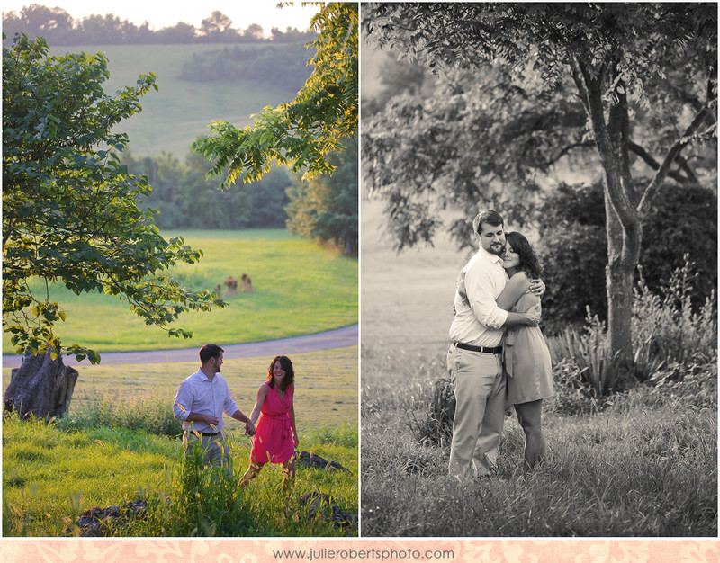 Lauren and Matt :: A post-wedding engagement session, Julie Roberts Photography