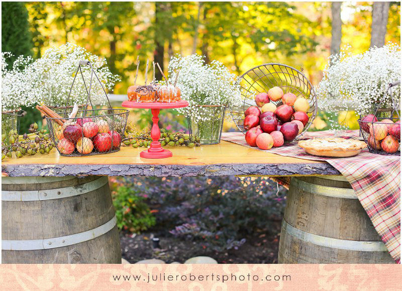 The Apple Cinnamon Sessions :: Knoxville Portrait Photography, Julie Roberts Photography