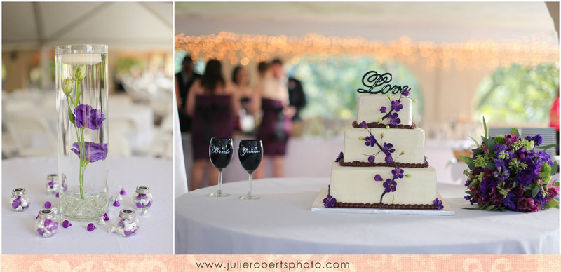 Beth Sanders and Adam Tuesburg - Married!!!  Maple Grove Inn Wedding, Knoxville TN, Julie Roberts Photography