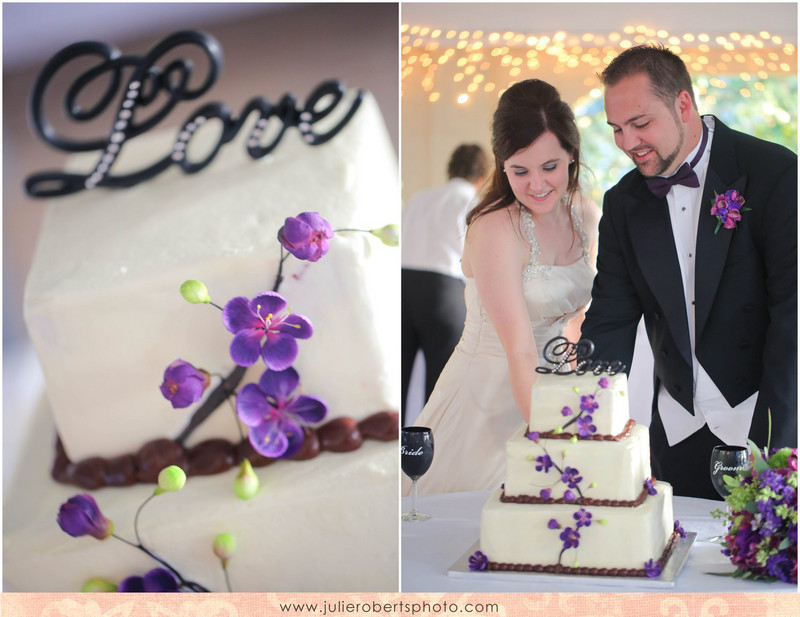 Beth Sanders and Adam Tuesburg - Married!!!  Maple Grove Inn Wedding, Knoxville TN, Julie Roberts Photography