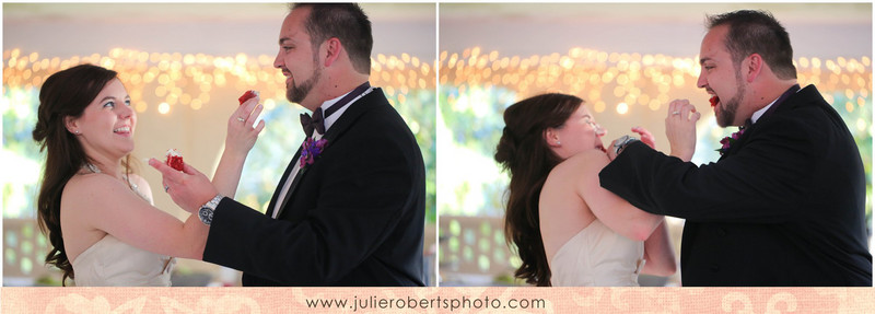 Beth Sanders and Adam Tuesburg - Married!!!  Maple Grove Inn Wedding, Knoxville TN, Julie Roberts Photography