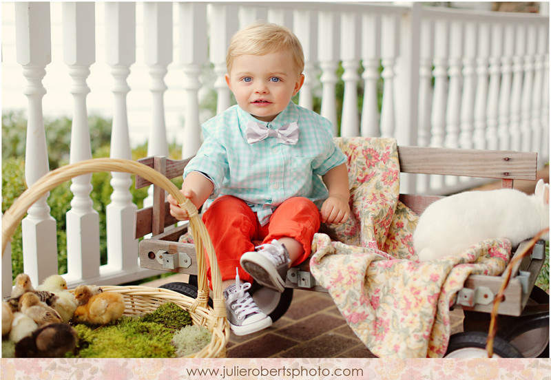 Did some-bunny say "mini-session"?!  Knoxville Family  and Kid Photos, Julie Roberts Photography