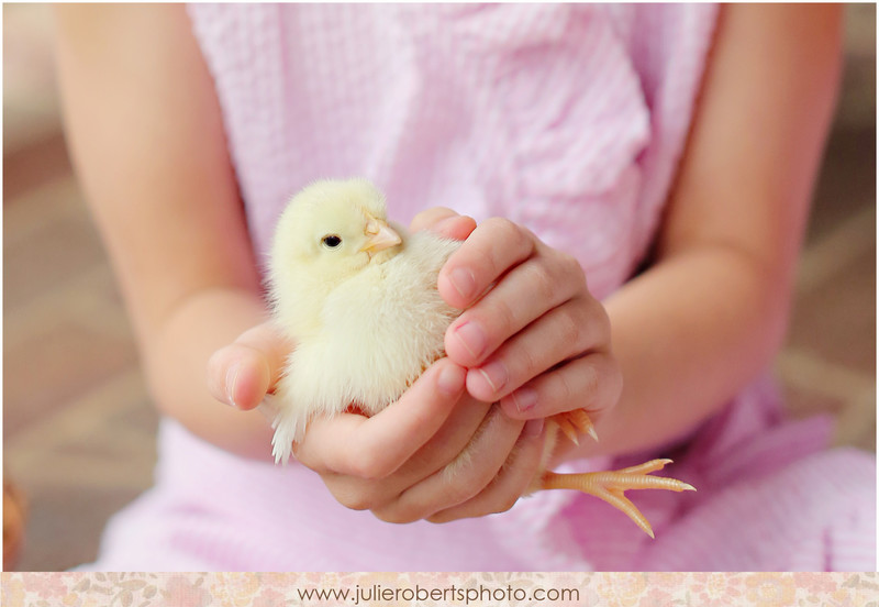 Did some-bunny say "mini-session"?!  Knoxville Family  and Kid Photos, Julie Roberts Photography