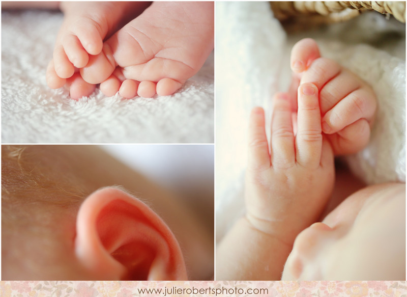 Beautiful Baby Avery :: Lexington, Kentucky Newborn Photography, Julie Roberts Photography