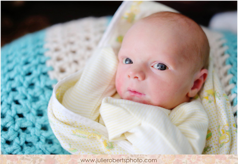 Baby August is SIX months old!, Julie Roberts Photography