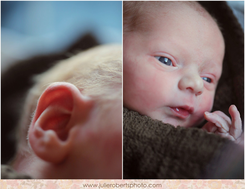 Baby August is SIX months old!, Julie Roberts Photography