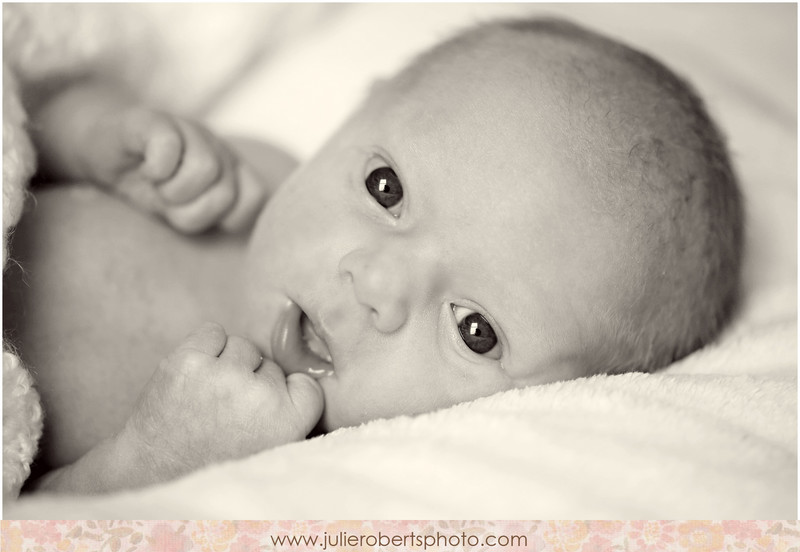 Baby August is SIX months old!, Julie Roberts Photography