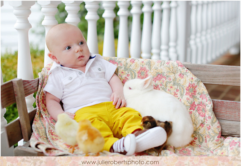 Baby August is SIX months old!, Julie Roberts Photography