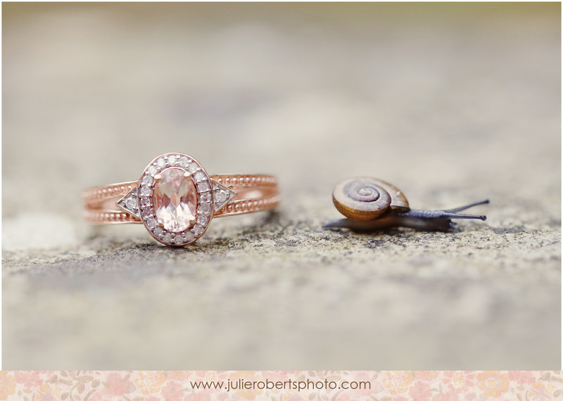 Ringy Bling!  Happy Engagement Season!, Julie Roberts Photography