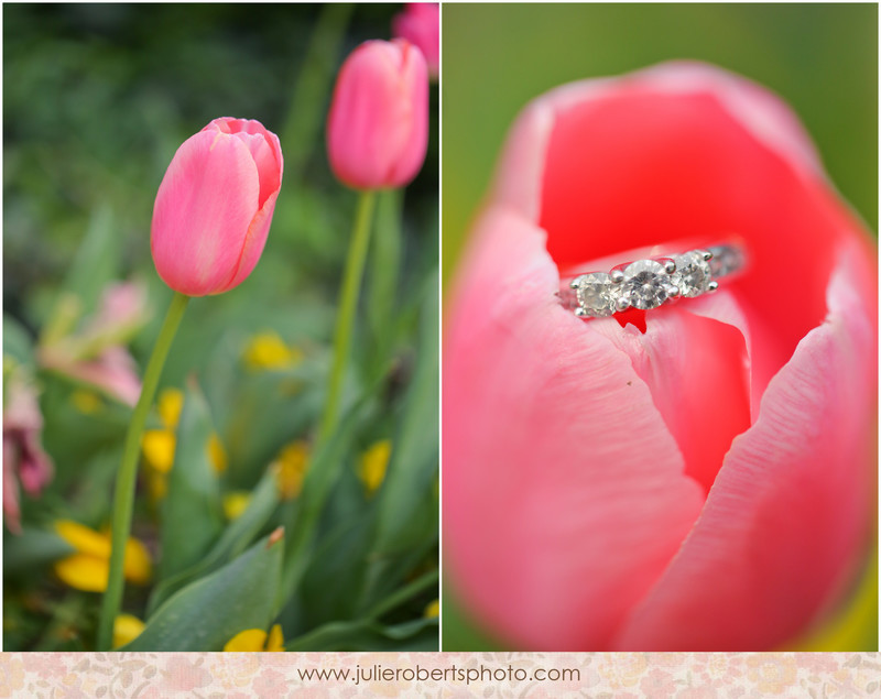 Ringy Bling!  Happy Engagement Season!, Julie Roberts Photography