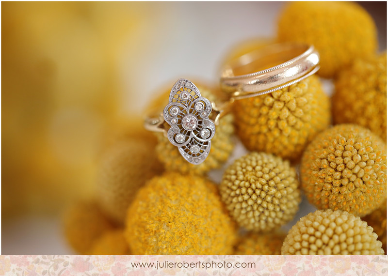 Ringy Bling!  Happy Engagement Season!, Julie Roberts Photography