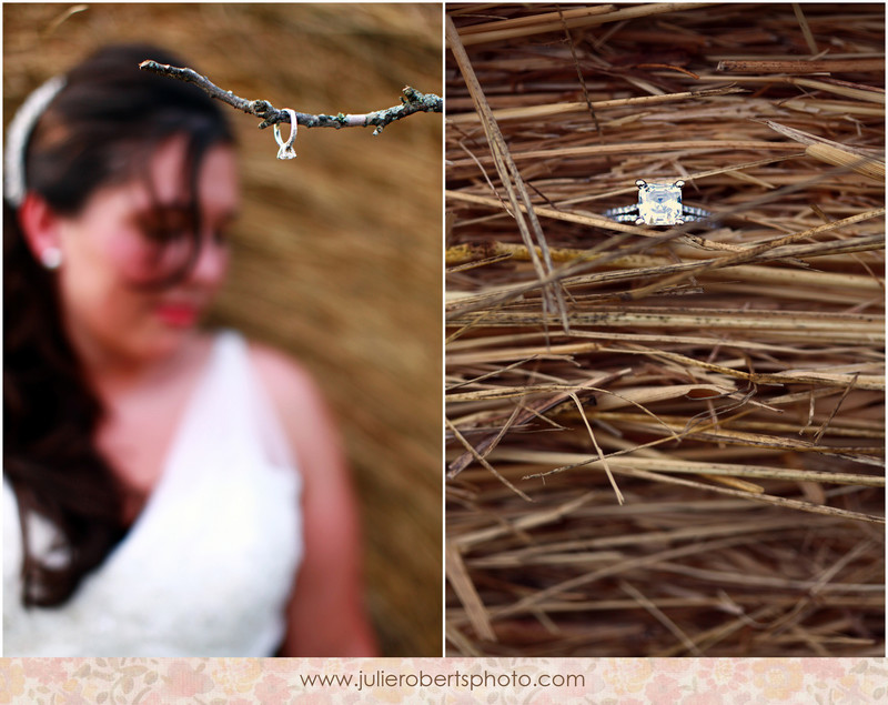 Ringy Bling!  Happy Engagement Season!, Julie Roberts Photography