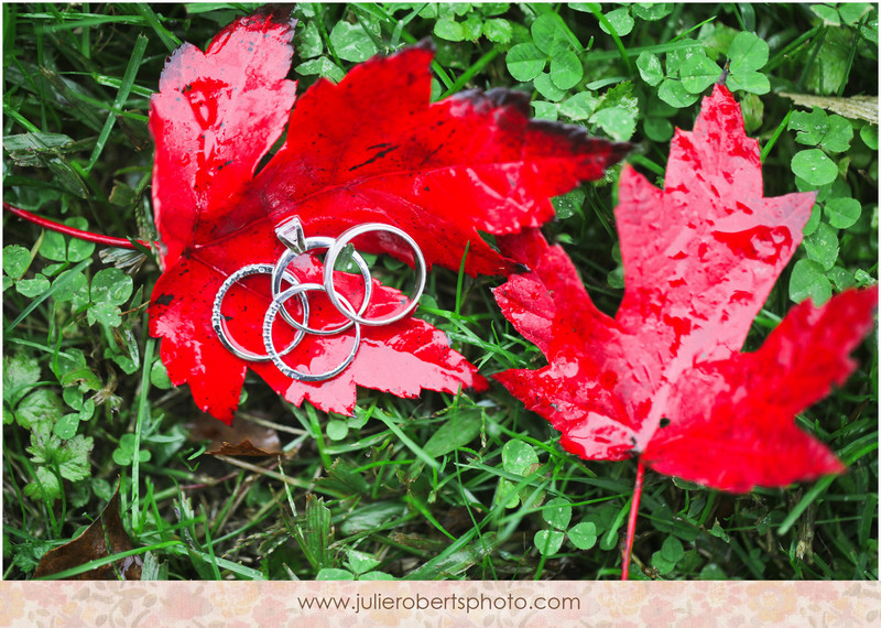 Ringy Bling!  Happy Engagement Season!, Julie Roberts Photography