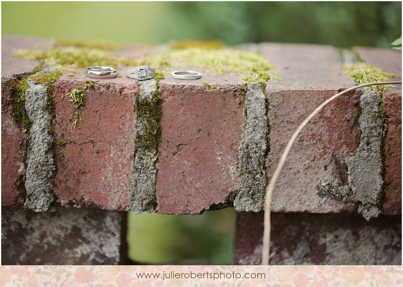 Ringy Bling!  Happy Engagement Season!, Julie Roberts Photography