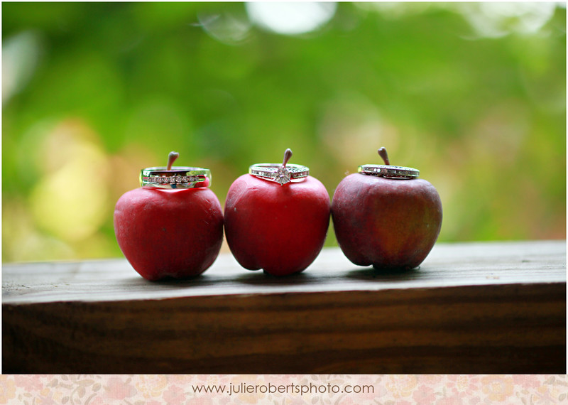 Ringy Bling!  Happy Engagement Season!, Julie Roberts Photography