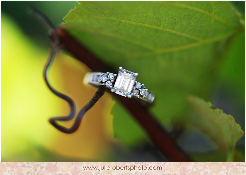 Ringy Bling!  Happy Engagement Season!, Julie Roberts Photography