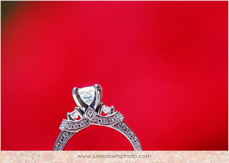 Ringy Bling!  Happy Engagement Season!, Julie Roberts Photography