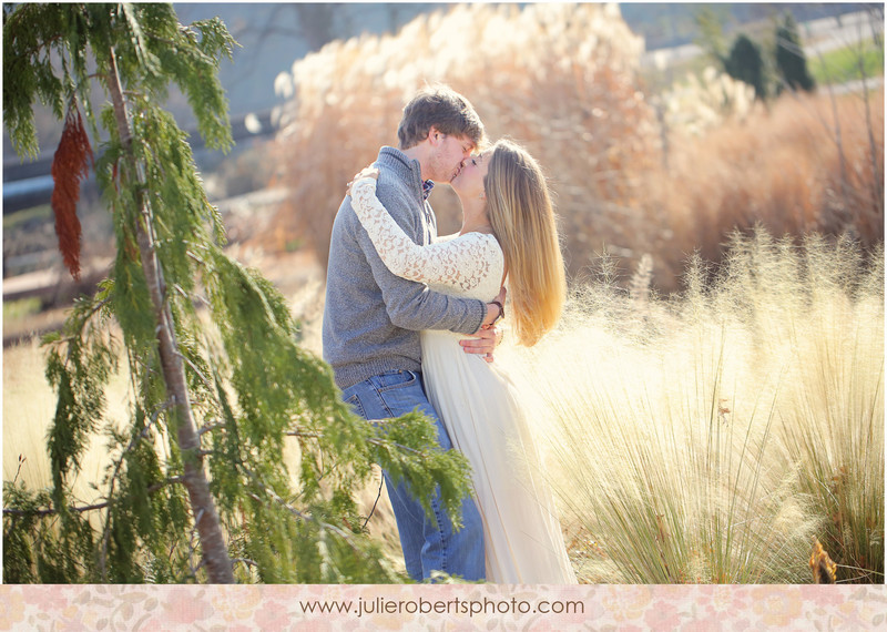 Elisa Wilhoit and Matt Crawford - Engagement photos at UT Gardens, Knoxville Tennessee, Julie Roberts Photography