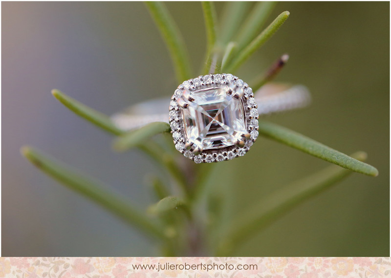 Elisa Wilhoit and Matt Crawford - Engagement photos at UT Gardens, Knoxville Tennessee, Julie Roberts Photography