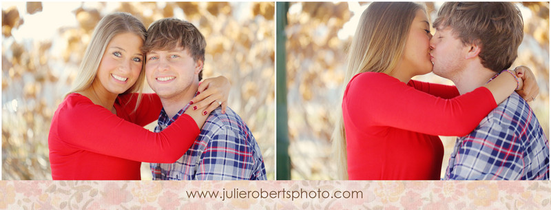 Elisa Wilhoit and Matt Crawford - Engagement photos at UT Gardens, Knoxville Tennessee, Julie Roberts Photography