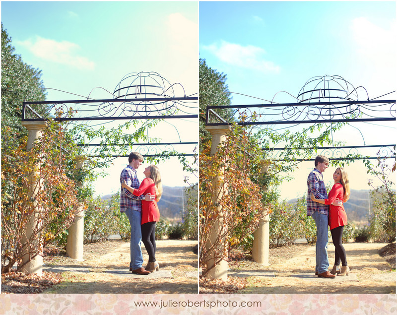 Elisa Wilhoit and Matt Crawford - Engagement photos at UT Gardens, Knoxville Tennessee, Julie Roberts Photography